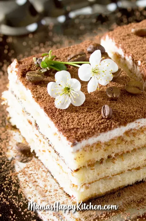 Buche Tiramisu