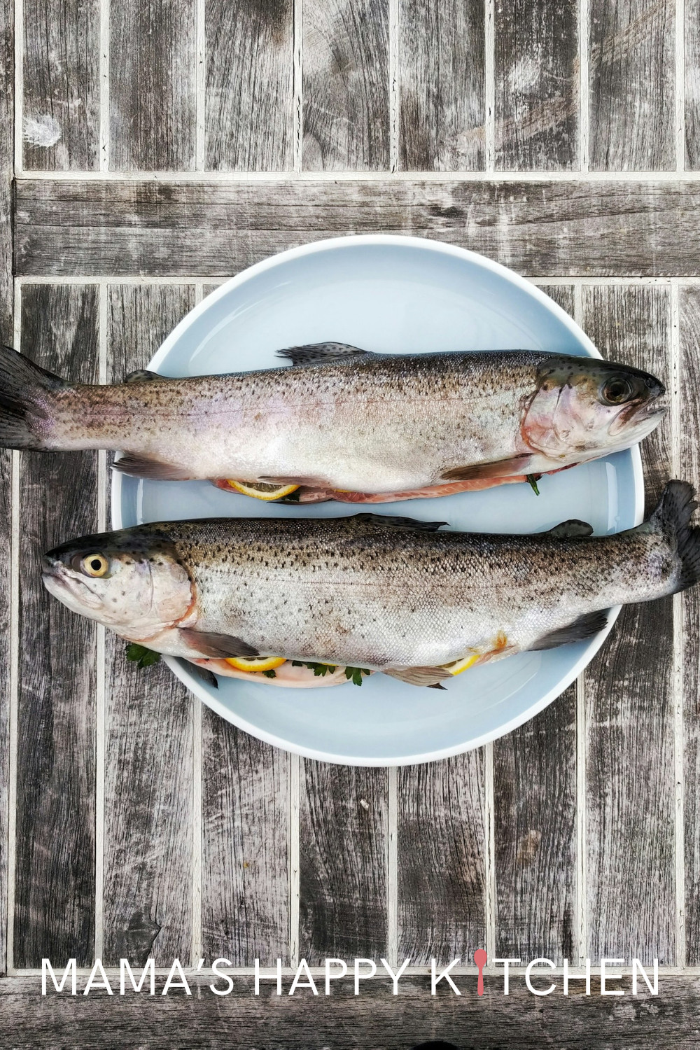 Growing up in Massachusetts, we had a kind of ritual every Friday during Lent: cod. Cod's not just any fish; it has a mild taste that makes it a winner for those who aren’t too keen on strong fishy flavors. Perfect for classics like fish and chips! Now, when it comes to picking the freshest cod at the market, there's one thing you should ask yourself: should cod smelly fishy? A fresh piece of cod should have a subtle, clean scent – a telltale sign of its quality and freshness.